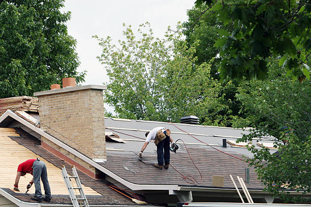 Roof Gutter Cleaning in Granger, WA